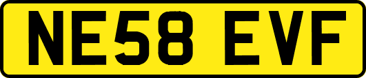 NE58EVF