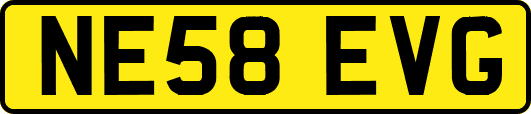 NE58EVG