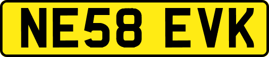 NE58EVK