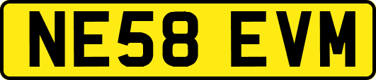 NE58EVM