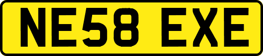 NE58EXE