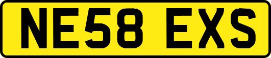 NE58EXS