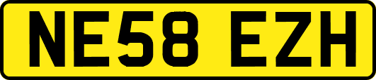 NE58EZH