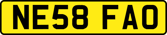 NE58FAO