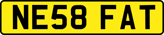 NE58FAT