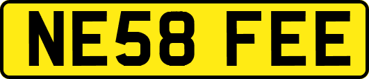 NE58FEE