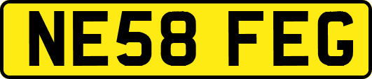 NE58FEG