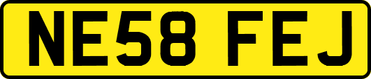 NE58FEJ