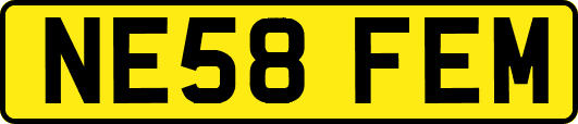 NE58FEM