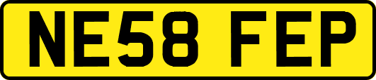 NE58FEP