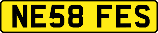 NE58FES