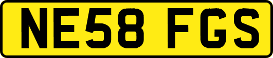 NE58FGS