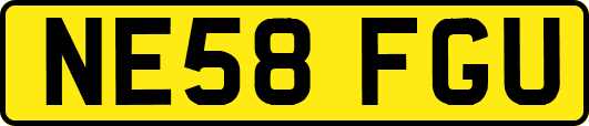 NE58FGU