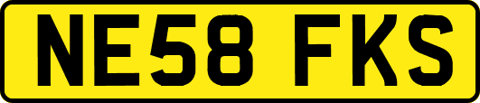NE58FKS