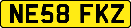 NE58FKZ