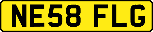 NE58FLG