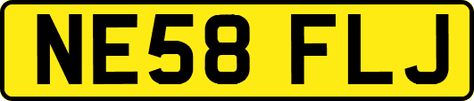 NE58FLJ