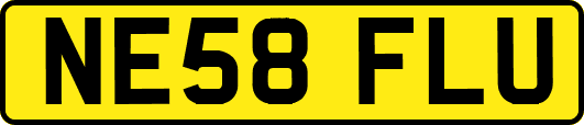 NE58FLU