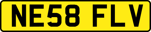 NE58FLV