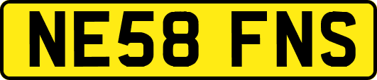 NE58FNS