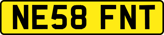 NE58FNT