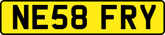 NE58FRY