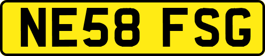 NE58FSG