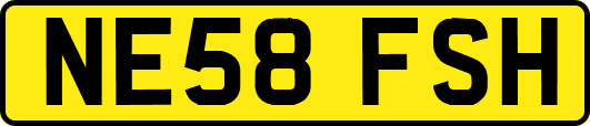 NE58FSH