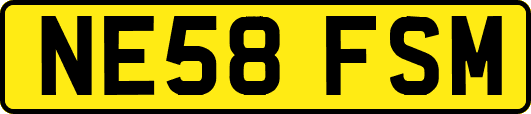 NE58FSM