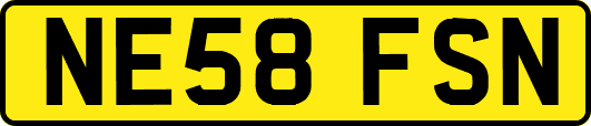 NE58FSN