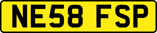 NE58FSP
