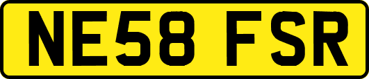 NE58FSR