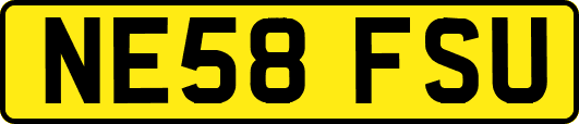 NE58FSU