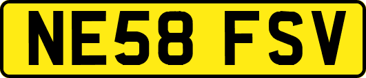 NE58FSV