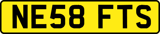 NE58FTS