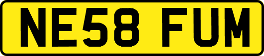 NE58FUM