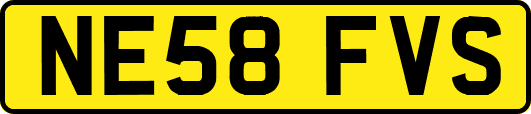 NE58FVS