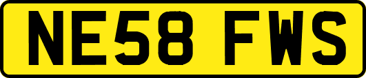 NE58FWS