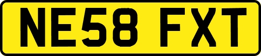 NE58FXT
