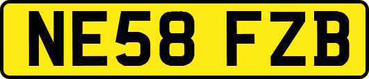 NE58FZB
