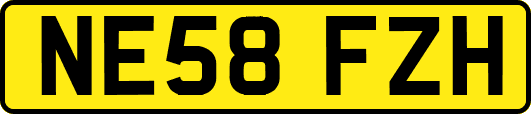 NE58FZH