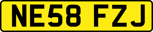 NE58FZJ