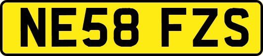 NE58FZS