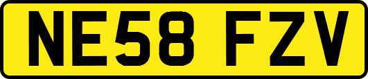 NE58FZV
