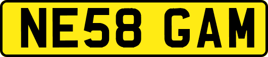 NE58GAM