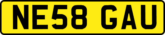 NE58GAU
