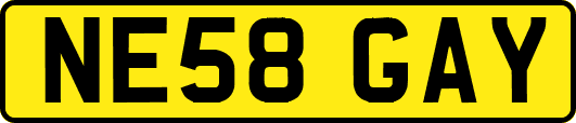 NE58GAY
