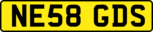 NE58GDS