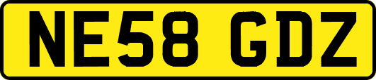 NE58GDZ