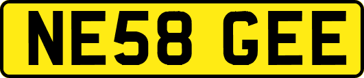 NE58GEE